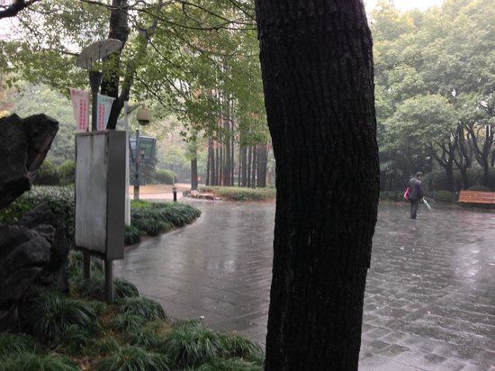 Chinese Culture Park